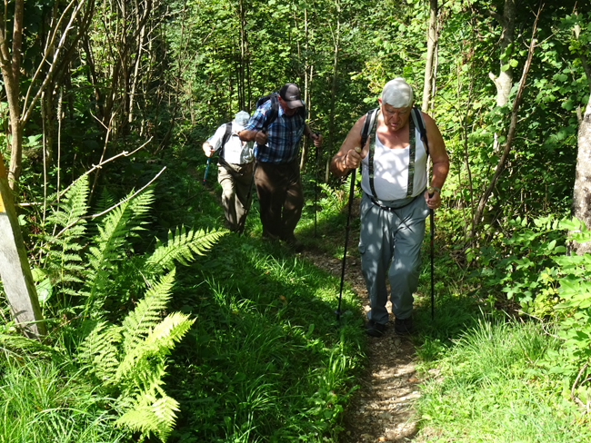 Appenzellerland August 2015