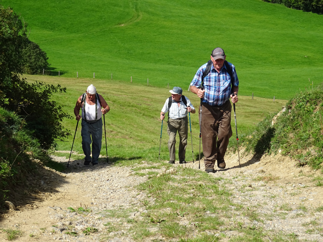 Appenzellerland August 2015