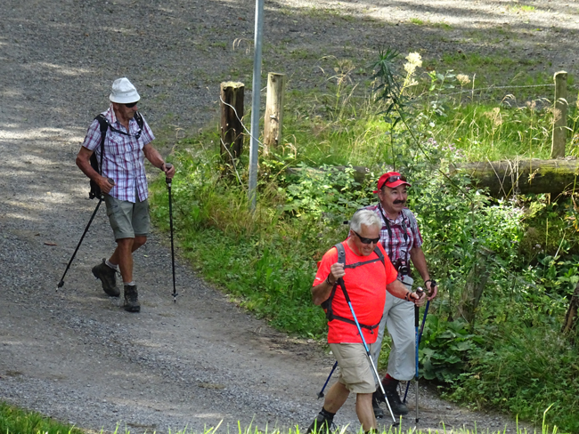 Appenzellerland August 2015