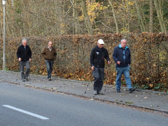 Novemberwanderung Triboltingen-Kuhhorn